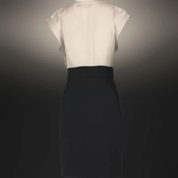 ❤Elijah J New York Color Block Sheat Dress - Picture 4 of 4